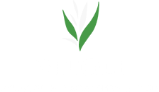 logo-4